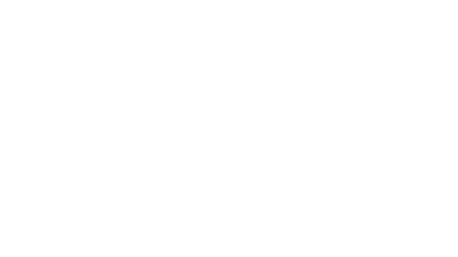Logo Levora
